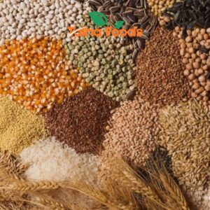 Untitled-design-32.jpg Kabutar Dana