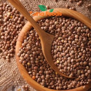 Masar Australia Mota